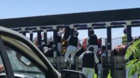 Horses barrier fear – Taranaki Races 22 12 21