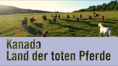 Kanada: Land der toten Pferde