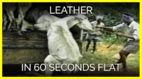 Leather in 60 Seconds Flat