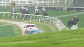 More carnage from the 2019 Warrnambool jumps carnival