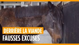 Pas d’excuse