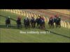 Racing Victoria edits horse death from replay