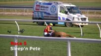 RIP Sleep ‘n’ Pete Ballarat Jumps 2018