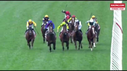 River Night killed at Caulfield