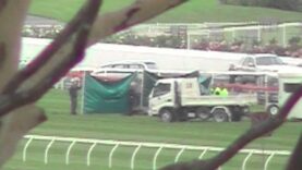 Scenic Buzz killed at Sandown Racecourse 17th April 2013 RIP