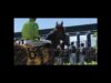 Sir Mark Todd horse beaten – outrage! Racehorse beaten – standard.