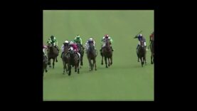 Sir Mark Todd whipping causes outrage but standard practice in horse racing