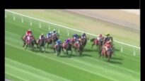 Tas Racing hides horror horse falls