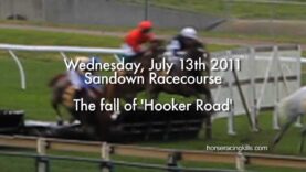 ‘The Fall of Hooker Race’ – Sandown Racetrack, Wednesday 13th July 2011