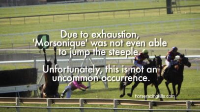 ‘The Fall of  Morsonique’ – Sandown Racetrack, Saturday June 6th 2011