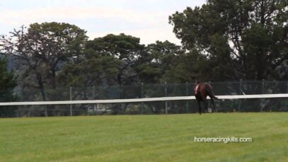 ‘The Fall of Sea Town’ – Mornington Racetrack, Sunday 22nd May 2011