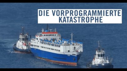 Tiertransporte per Schiff – die vorprogrammierte Katastrophe