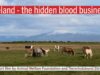 Trailer: Iceland – the hidden blood business
