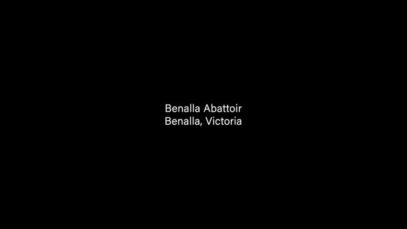 Welfare breaches – Benalla