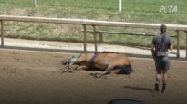 Exclusive Footage: Fatal Fall At Churchill Downs