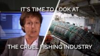 It’s Time To Look At The Cruel Fishing Industry
