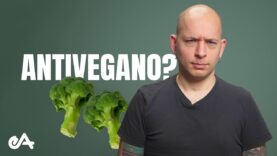 ODIAVO i vegani, invece ora…