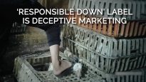 ‘Responsible Down’ Label is Deceptive Marketing