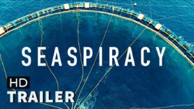 Seaspiracy | Trailer Sub Ita (2021) Docu-Film di Ali Tabrizi