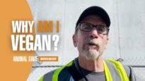There Are Many Reasons To Be Vegan | Animal Save Movement