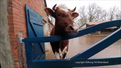 Willkommen, Conny