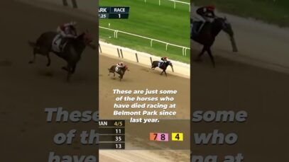 Horses Fatally Injured on the Track at Deadly Belmont Park