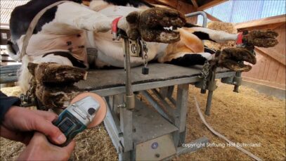 Stine im Klaueküre Studio