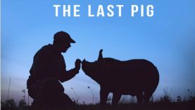 The Last Pig