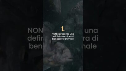 Acquacoltura INsostenibile per i pesci