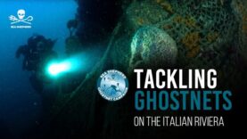 Ghostnet 2023: Italy’s Punta Manara