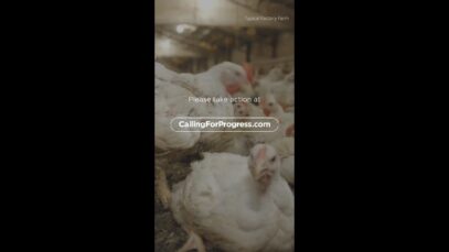 Join us in holding major companies like Le Pain Quotidien accountable!