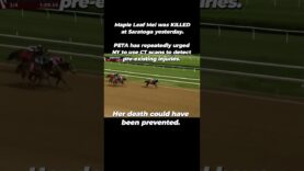 Another Horse Dies at Saratoga #shortsfeed