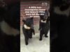 Baby Bears Put on Verge of Strangulation for Circus Training