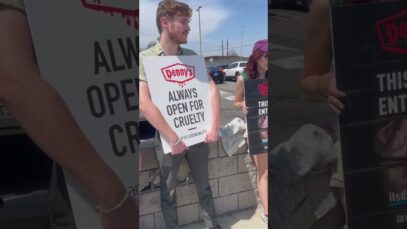 Demanding Change at Denny’s: Animal Equality Advocates Fight for Mother Pigs