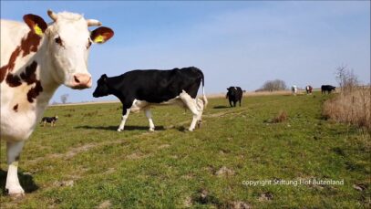 Der neueste Gossip aus der Nachbarschaft