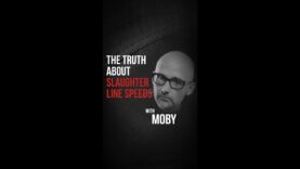 Moby shares the truth about slaughter line speeds