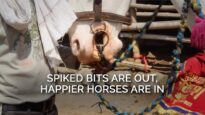 Spiked Bits Are Out, Happier Horses Are In
