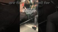 This Carriage Accident Injured People & a Horse