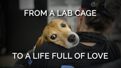 Watch Mabel Go From Life in a Cage to a Life Full of Love