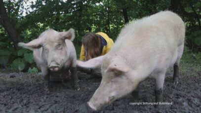 Zum Umwerfen liebhaben