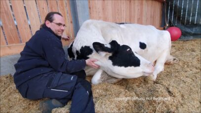 Zum Valentinstag schenkt uns Lillemor ein Herz auf dem Po