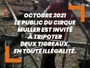 Au Cirque Muller, des tigreaux naissent, sont exhibés puis disparaissent année après année…