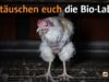 Bio-Eier