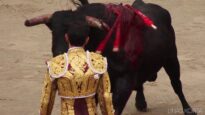 Bullfight – Sword