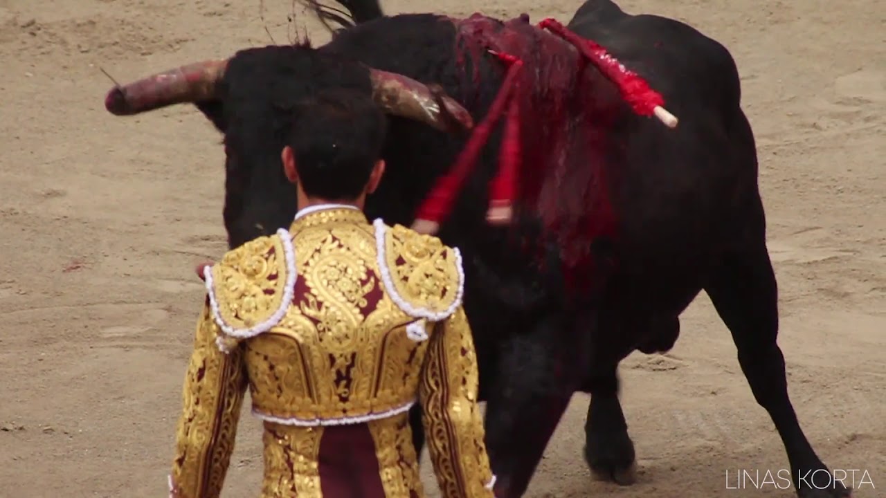 Sword Rodeon Bullfight - Sword | Laverabestia.org