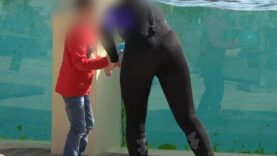 Des séances de dressage de dauphins pour les enfants…