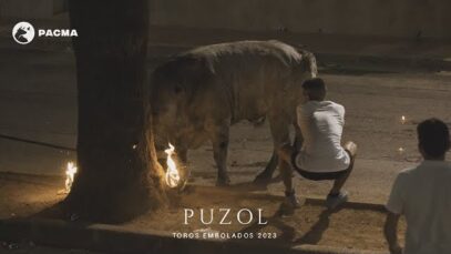 Documentamos el embolado de un toro en shock en Puzol