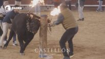 Documentamos el sufrimiento al que se somete al animal en un toro embolado en Castellón