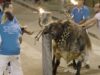 Documentamos un horrible festejo de toros embolados en Onda (Castellón)