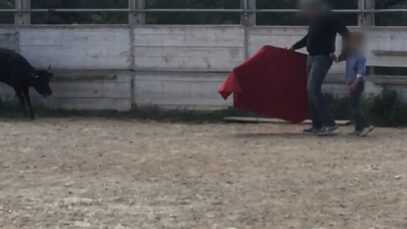 En France, on apprend aux enfants à massacrer des êtres sensibles sous les bravos